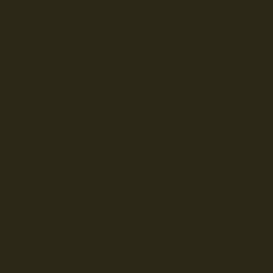 Allison Dark Olive Velvet Leotard RTW - Image 7