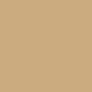 Brock Biketard Tan RTW - Image 4