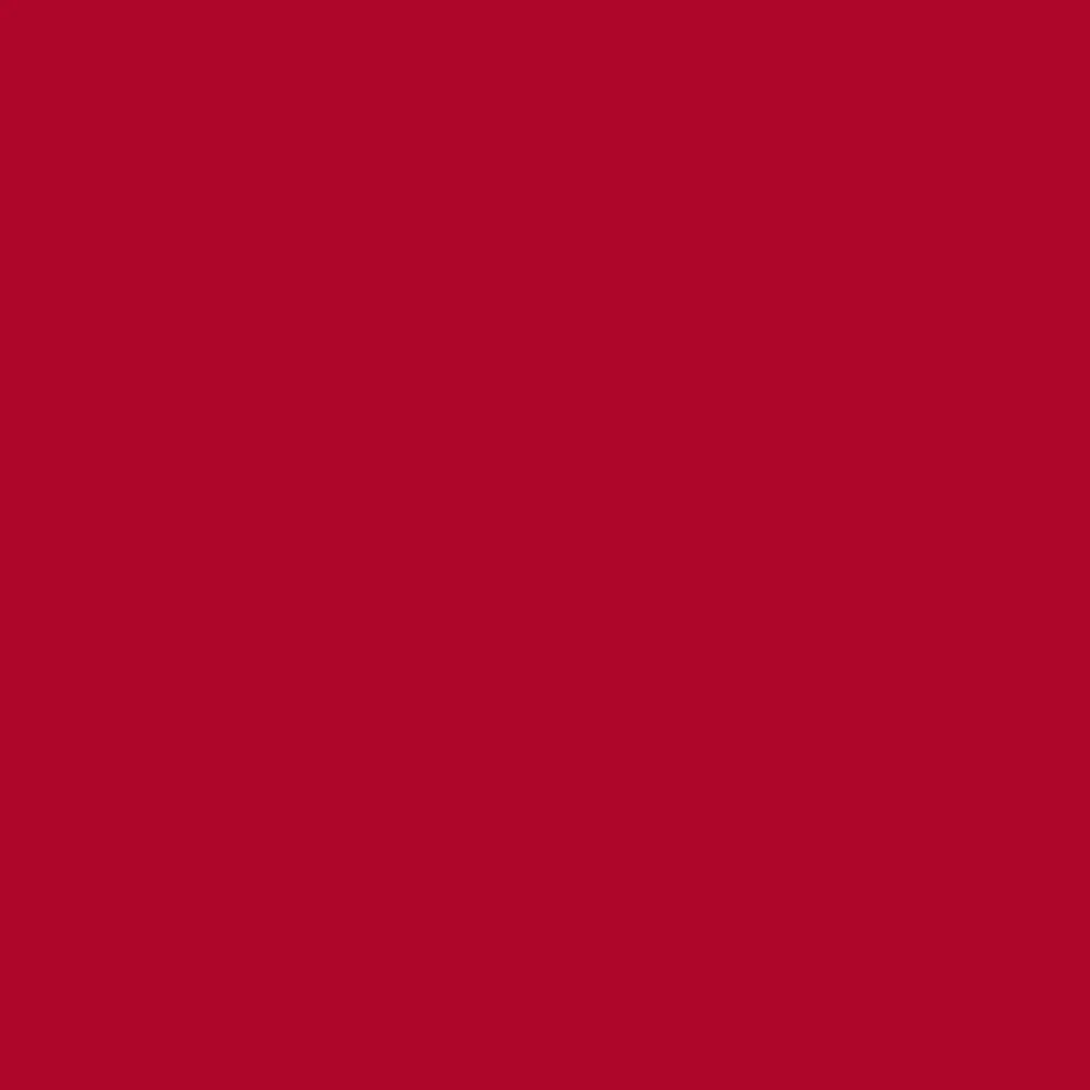 Diana Leotard Ruby Kids RTW - Image 10