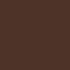 Eric Shorts Coffee RTW - Image 4