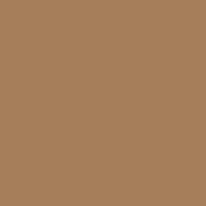 Long High-Low Skirt Latte Mesh RTW - Image 4
