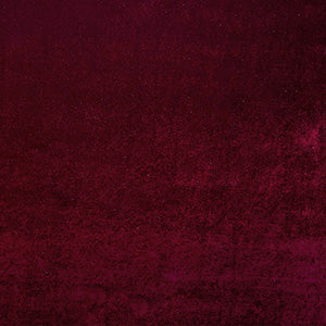 Tempe Wine Velvet Leotard RTW - Image 6